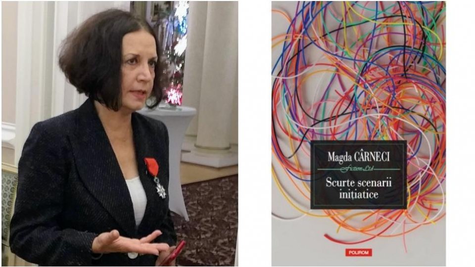 Magda Cârneci: "Noi sîntem ființe care se autotranscend continuu"