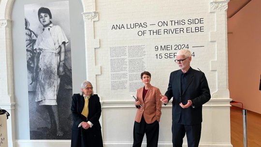 Ilustrată din Amsterdam - Ana Lupaș, între Amsterdam și București