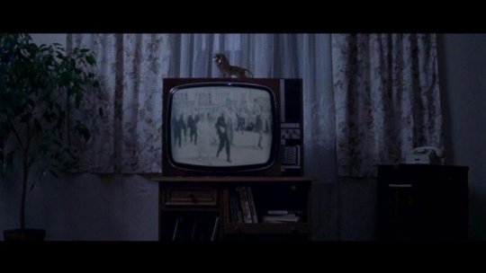 Ilinca Călugăreanu: antropologie și film documentar