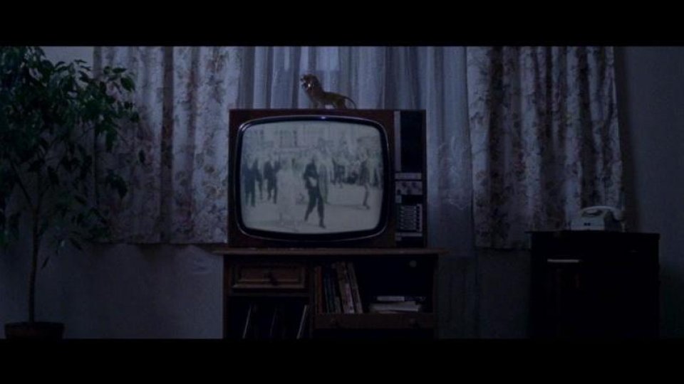 Ilinca Călugăreanu: antropologie și film documentar