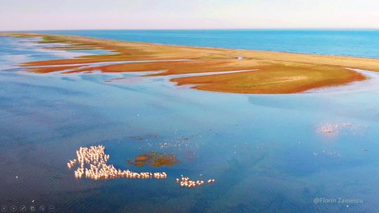 „DELTA-HUB” - De la Delta Dunării la o viziune globală asupra deltelor. Cercetarea aplicată în Delta Dunării – un model pentru deltele lumii