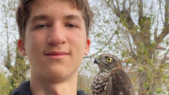Radu Modan, 1111 Birds: „Cele mai interesante păsări apar în locuri neobișnuite”