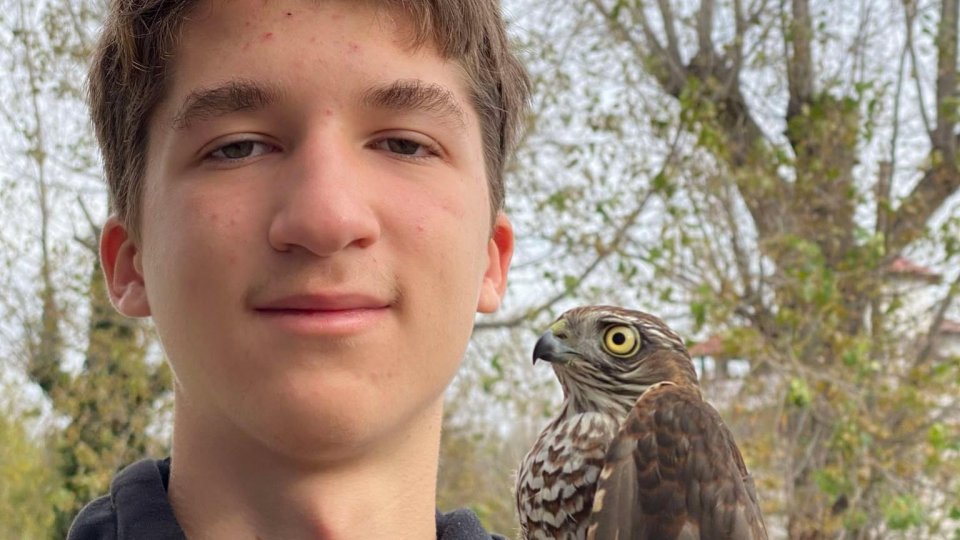 Radu Modan, 1111 Birds: „Cele mai interesante păsări apar în locuri neobișnuite”