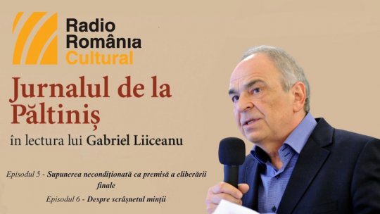 "Jurnalul de la Păltiniș", în lectura lui Gabriel Liiceanu - Episodul 5 & Episodul 6