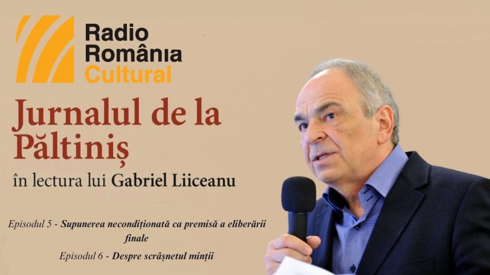 "Jurnalul de la Păltiniș", în lectura lui Gabriel Liiceanu - Episodul 5 & Episodul 6
