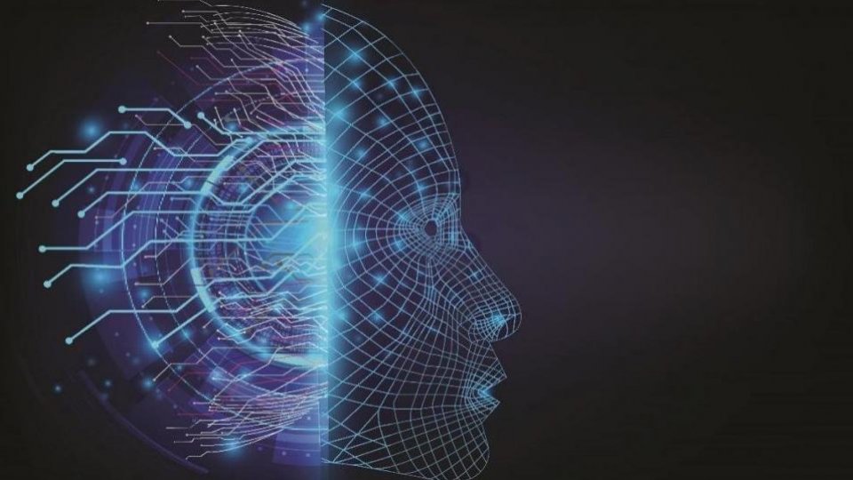 Laboratorul de Neuroștiințe: Neuroștiințele Pascale
