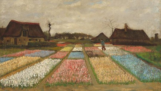 Ilustrată din Amsterdam - Este vremea florilor din bulbi