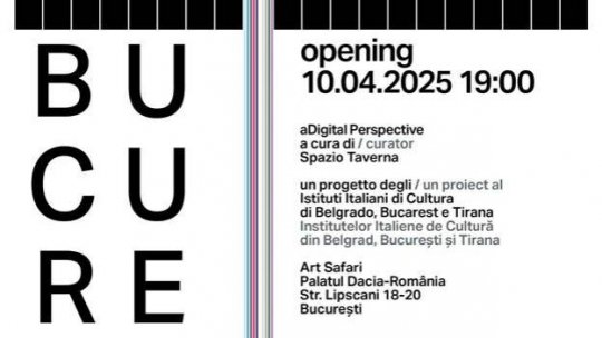„aDigital Perspective” - o expoziție despre dialogul contemporan dintre lumea analogică și cea digitală
