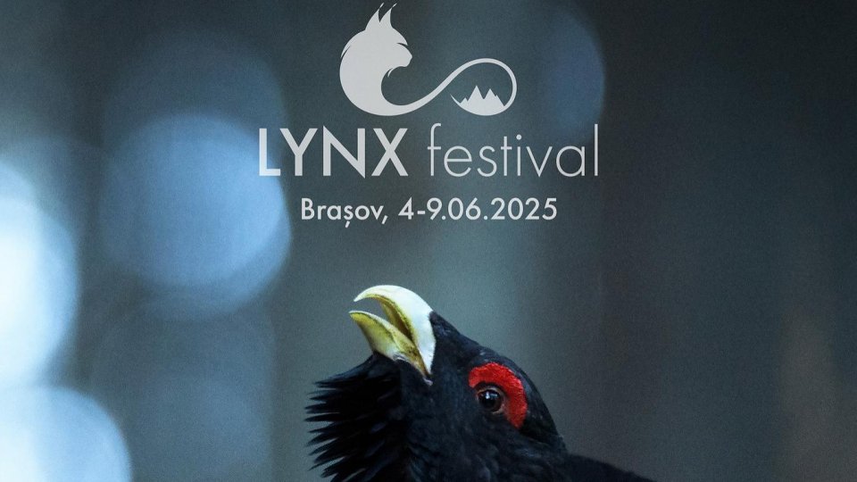 Celebrul director de imagine Gavin Thurston, laureat Emmy și BAFTA, este invitat special al LYNX Festival