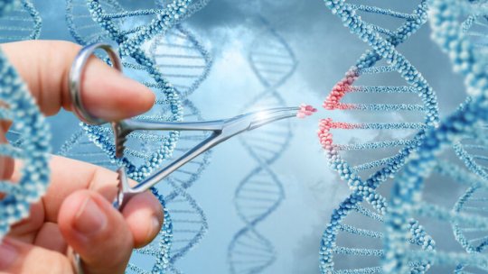 Raportul de garda: Prima terapie CRISPR personalizată salvează viața unui bebeluș cu o boală genetică rară