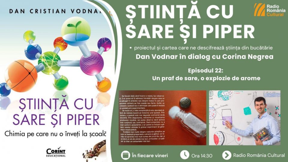 Dan Vodnar: Sarea potențează toate gusturile pe care noi le avem pe limbă