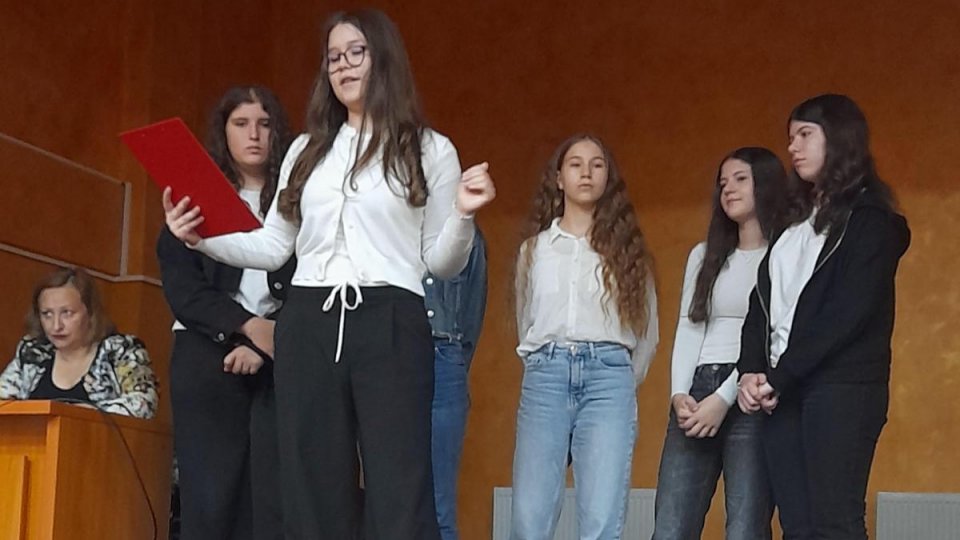 Un proiect de educație civică: Cetățeanul