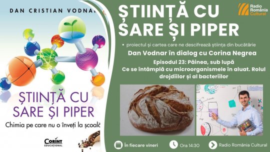 Ce se întâmplă cu adevărat în aluat? Secretele științei din aluatul de pâine