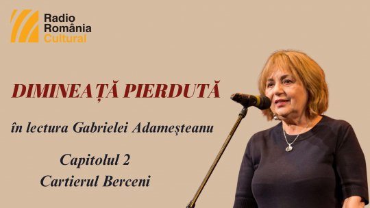 „Dimineață pierdută”, în lectura Gabrielei Adameșteanu – Capitolul 2 – Cartierul Berceni