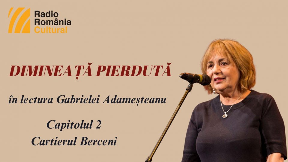 „Dimineață pierdută”, în lectura Gabrielei Adameșteanu – Capitolul 2 – Cartierul Berceni