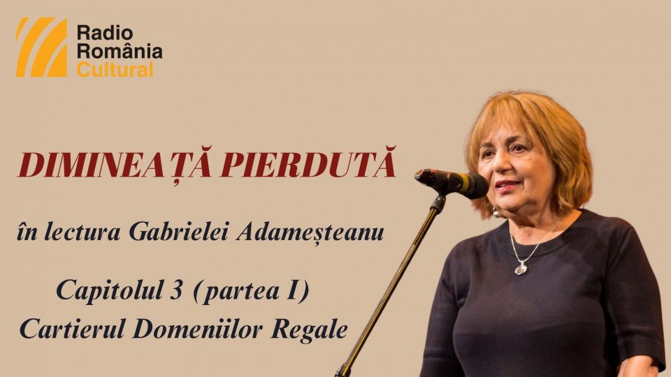 „Dimineață pierdută”, în lectura Gabrielei Adameșteanu – Capitolul 3 (partea I) – Cartierul Domeniilor Regale