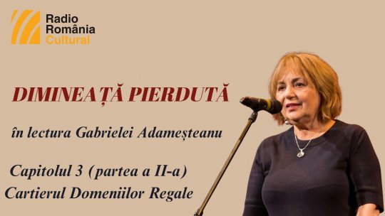 „Dimineață pierdută”, în lectura Gabrielei Adameșteanu – Capitolul 3 (partea a II-a) – Cartierul Domeniilor Regale