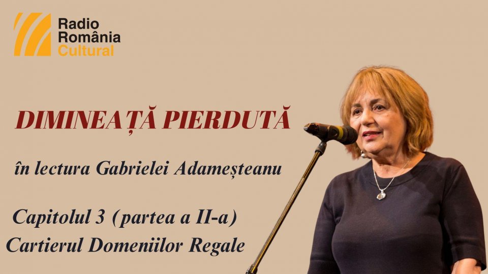 „Dimineață pierdută”, în lectura Gabrielei Adameșteanu – Capitolul 3 (partea a II-a) – Cartierul Domeniilor Regale