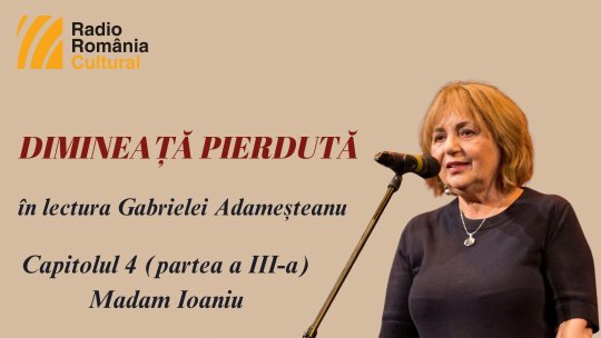 „Dimineață pierdută”, în lectura Gabrielei Adameșteanu – Capitolul 4 (partea a III-a) – Madam Ioaniu