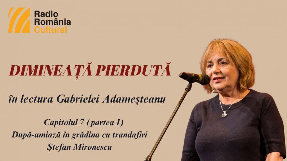 „Dimineață pierdută”, în lectura Gabrielei Adameșteanu – Capitolul 7 (partea I) – După-amiază în grădina cu trandafiri – Ștefan Mironescu