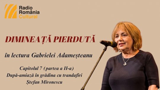 „Dimineață pierdută”, în lectura Gabrielei Adameșteanu – Capitolul 7 (partea a II-a)  – După-amiază în grădina cu trandafiri – Ștefan Mironescu