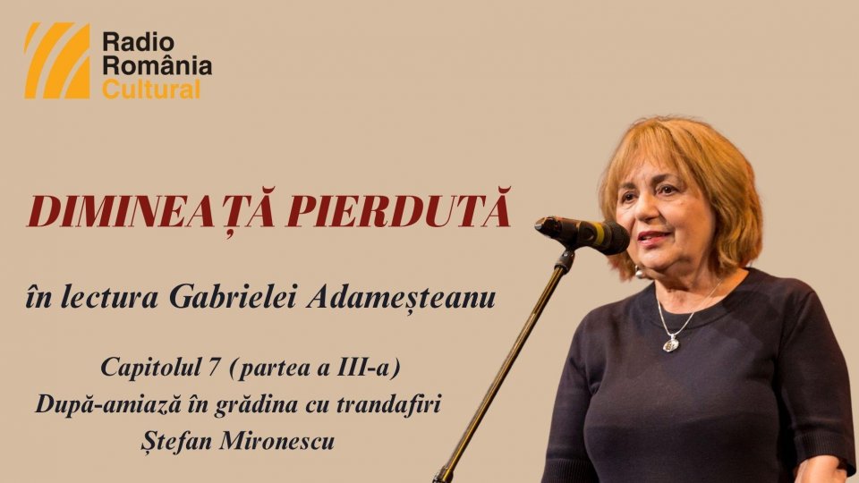„Dimineață pierdută”, în lectura Gabrielei Adameșteanu – Capitolul 7 (partea a III-a)  – După-amiază în grădina cu trandafiri – Ștefan Mironescu