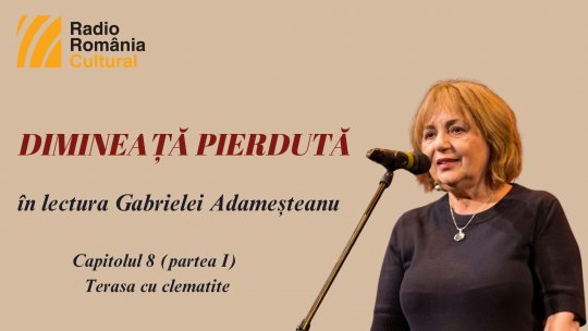 „Dimineață pierdută”, în lectura Gabrielei Adameșteanu – Capitolul 8 (partea I) – Terasa cu clematite