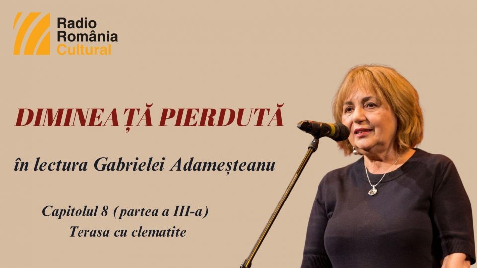 „Dimineață pierdută”, în lectura Gabrielei Adameșteanu – Capitolul 8 (partea a III-a) – Terasa cu clematite