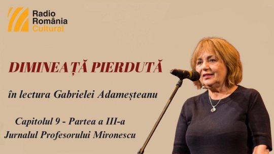 „Dimineață pierdută”, în lectura Gabrielei Adameșteanu – Capitolul 9 (partea a III-a)  – Jurnalul profesorului Mironescu