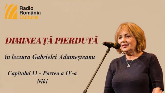 „Dimineață pierdută”, în lectura Gabrielei Adameșteanu – Capitolul 11 (partea a IV-a)  – Niki
