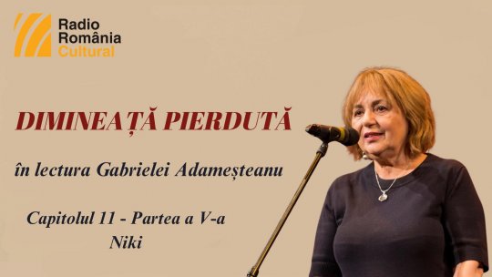 „Dimineață pierdută”, în lectura Gabrielei Adameșteanu – Capitolul 11 (partea a V-a)  – Niki