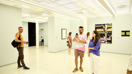 Proiectul artistic international CELULA Free Air - o meditatie vizuala despre libertate