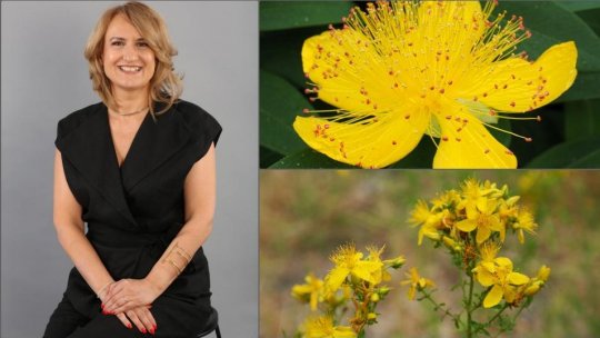 Iza Nițoi: „Plantele sunt cele mai blânde remedii din punct de vedere al riscurilor. Totuși, nu sunt deloc lipsite de riscuri!"