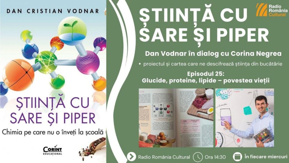 Dan Vodnar: Glucidele, proteinele și lipidele sunt esențiale pentru viață