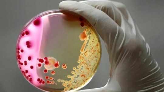Cristian Apetrei: „Rezistența bacteriilor la antibiotice se schimbă într-un mod care este înspăimântător”