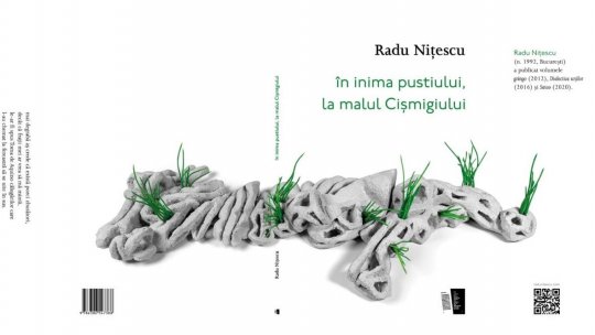 „Cartea de Poezie a Anului” va fi premiată în direct la Radio România Cultural, cu ocazia Zilei Culturii Naționale