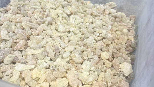 Când tămâia ajunge în farfurie: o lecție despre gust, sacru și diferențe culturale