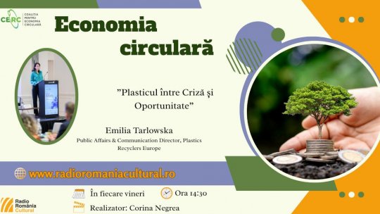 Plasticul, între utilitate și responsabilitate