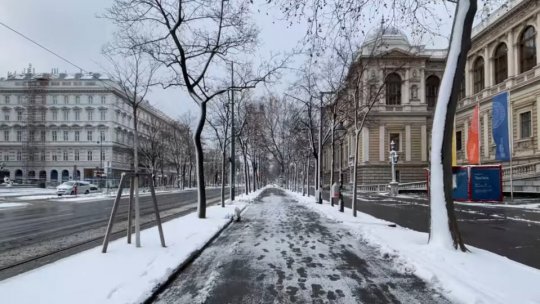 Din cauza restricțiilor bugetare, Viena închide mai multe muzee dedicate marilor compozitori