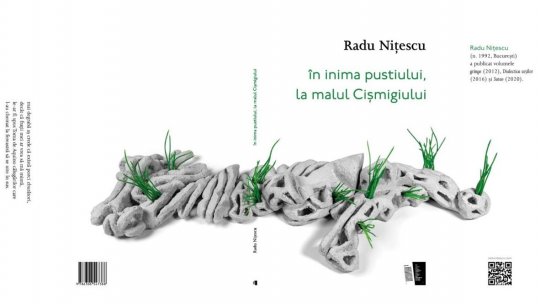 „în inima pustiului, la malul Cișmigiului” de Radu Nițescu primește Premiul Cartea de Poezie a anului 2025