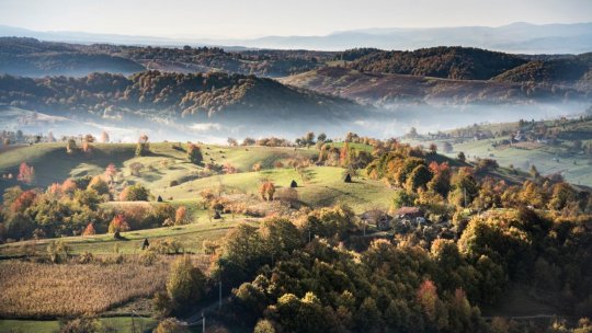 Pădurea Craiului - natură, aventură și patrimoniu viu, la doar o oră de Oradea