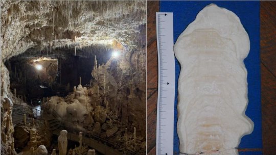 Cum se citește istoria climei într-o stalagmită. Peștera Urșilor și memoria climatică a continentului