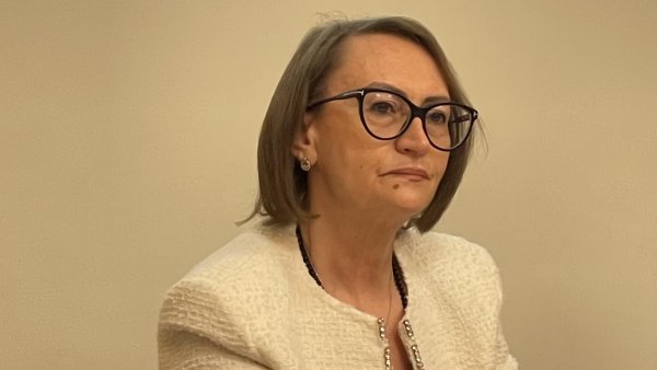Prof.dr. Liana Gheorghe, Institutul Fundeni: „Boala ficatului grav afectează 35-38% din populația globului și este o cifră în creștere chiar și în România”