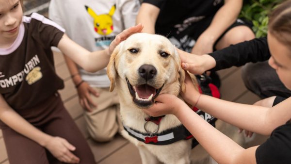 Laura Hărdălău: „Bucuria de pe fața copilului când stă în fața oglinzii împreună cu cățelul, îl îmbrățișează și așa face exerciții de pronunție este o senzație extraordinară și o experiență fantastică”