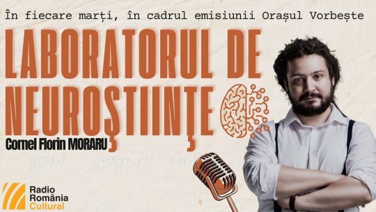 Laboratorul de neuroștiințe. Arhivele paralele: Cum gestionează creierul trecutul și viitorul