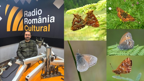 Vlad-Eugen Dincă: Zonele umede sunt o componentă esențială a biodiversității planetei. Sunt un rezervor de specii și un adăpost pentru un număr extraordinar mare de specii de plante și animale