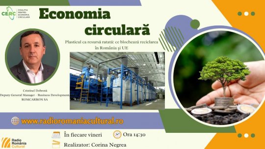 Criza reciclării plasticului: cum lipsa voinței politice costă Europa sute de mii de locuri de muncă