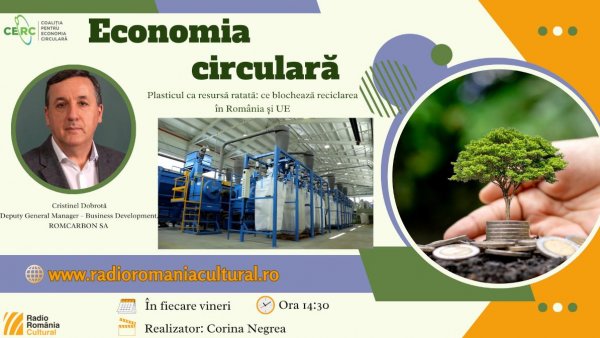 Criza reciclării plasticului: cum lipsa voinței politice costă Europa sute de mii de locuri de muncă