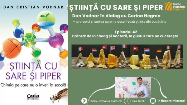 Brânza: de la cheag și bacterii, la gustul care ne cucerește