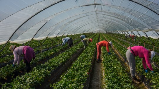 Expoziția de fotografie documentară „PLECAT” – o arhivă vie a migrației românești în Europa